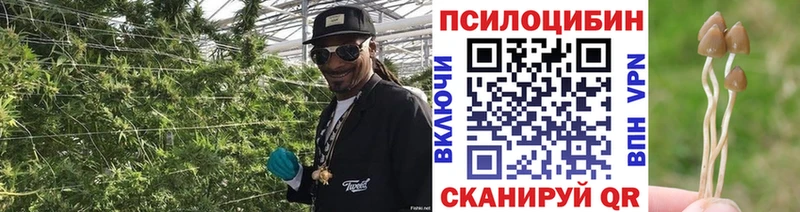 Псилоцибиновые грибы ЛСД  KRAKEN tor  Орёл 